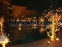 Event Decoration by BD showbiz 22